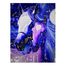 Horses & Night Post Card