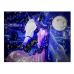 Horses & Night Postcard
