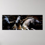 Horses of Florence II Poster