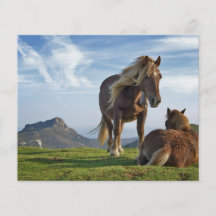 Horses on Bianditz Mountain, Spain Flyer Design