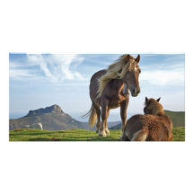 Horses on Bianditz Mountain, Spain Photo Greeting Card