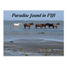 Horses on the Beach in Fiji Postcard