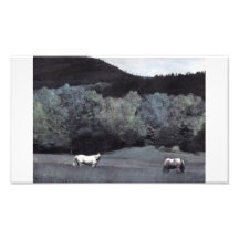 Horses on the Buffalo Road Photo Print