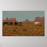 Horses on Western Range posters