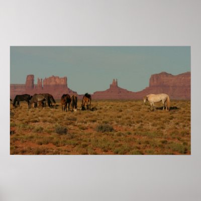 Horses on Western Range Poster by cycletrips