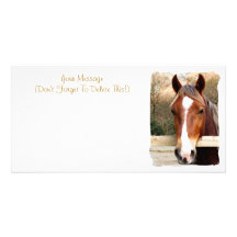 HORSES PHOTO GREETING CARD