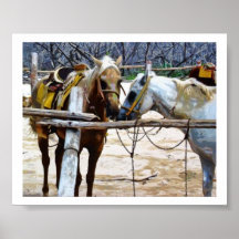 Horses Poster