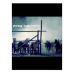 Horses Pure Country Post Cards