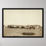 Horses Roped by Cowboys SD 1887 posters