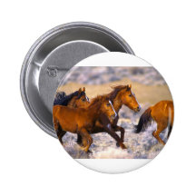 Horses running buttons