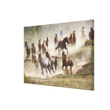 Horses running during roundup, Montana Gallery Wrap Canvas