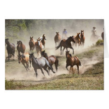 Horses running during roundup, Montana Greeting Card