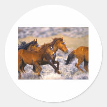 Horses running stickers