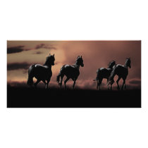 Horses running wild at sunset customized photo card