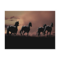 Horses running wild at sunset postcards