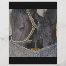 Horses sharing custom flyer