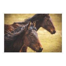 Horses Side By Side Gallery Wrap Canvas