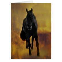 Horses silhouette card