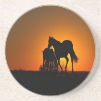 Horses Silhouette coasters