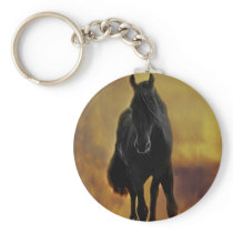 Horses silhouette key chains