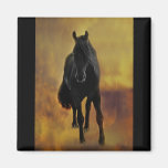 Horses silhouette refrigerator magnet