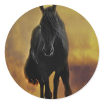 Horses silhouette stickers