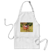 horses south america apron