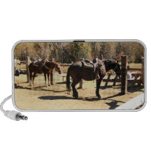 Horses Speaker System