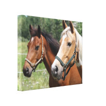 Horses Stretched Canvas Print