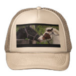 Horses Trucker Hat