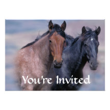 Horses Wild Invitation