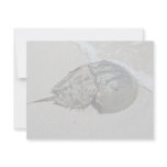 Horseshoe Crab - male Personalized Invite