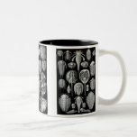 Horseshoe Crabs, Trilobites & Snails Mug