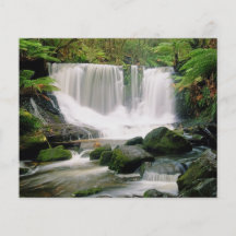Horseshoe Falls Tasmania Australia Flyer
