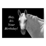 Horsey Birthday Card