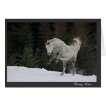 Horsing around in the Snow Card