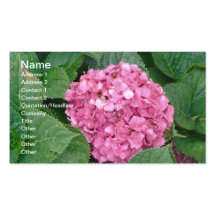 Hortensia rose modèles de cartes de visite