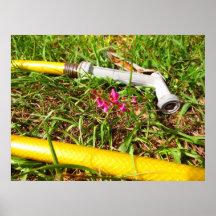 Hose Poster Print