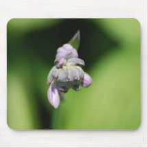 Hosta Buds Mouse Pads