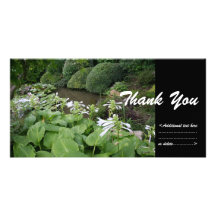 Hosta in a Zen Garden #2 - Thank You Photo Card Template