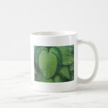 Hosta, 'June Mugs
