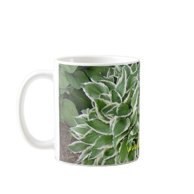 hosta mug by crazyhorse64