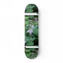 Hosta Plant Skateboard