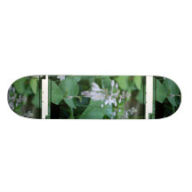 Hosta Plant Skateboard