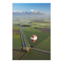 Hot-air Balloon, near Methven, Canterbury