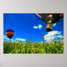 Hot Air Balloons Posters