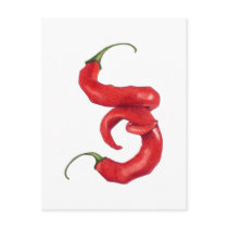 Hot and Spicy Postcard
