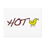 Hot Chick Post Cards