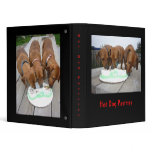 Hot Dog Pastries binders