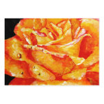 Hot Flashes (Rose) ACEO Art Trading Cards Business Card